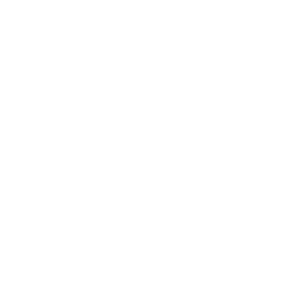 Click here to view all Eikon products!